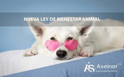 LEY DE BIENESTAR ANIMAL